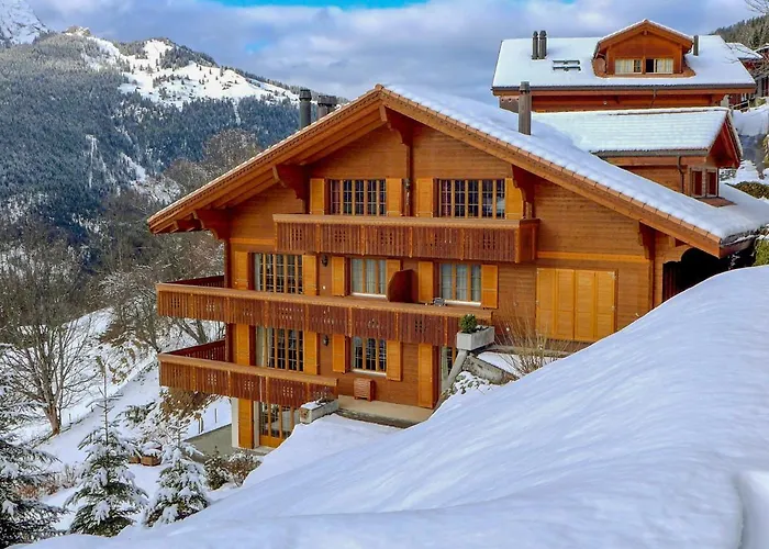 Panorama Apt- P By Interhome Διαμέρισμα *